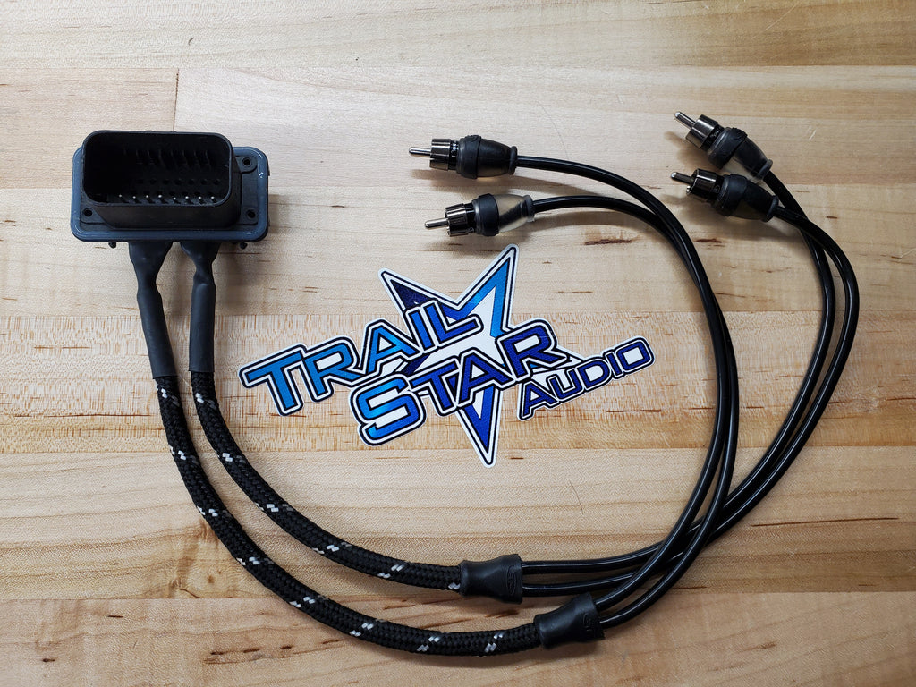 RZR PRO XP / Pro R Ride command plug