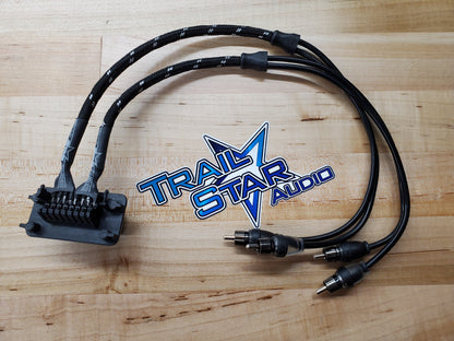 RZR PRO XP / Pro R  Ride command plug