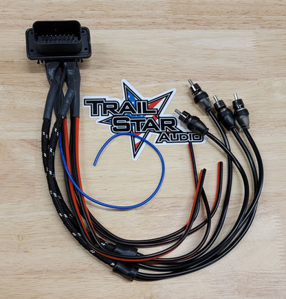 Factory Speaker Wire Pro XP / Pro R Ride command plug